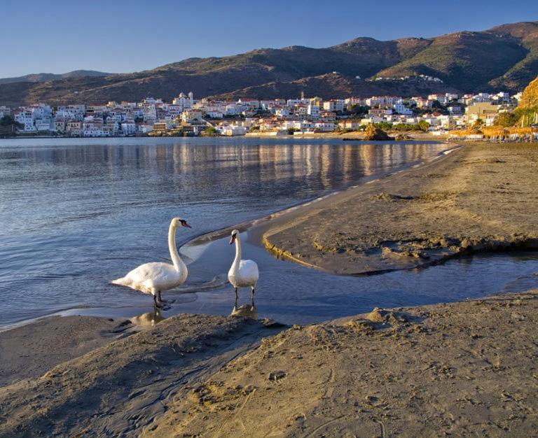 Πλατανακι 2 Seaview Apartment Ándros Екстериор снимка
